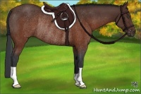 Horse Color:Brown Rabicano