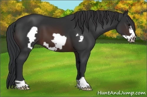 Horse Color:Brown Frame 