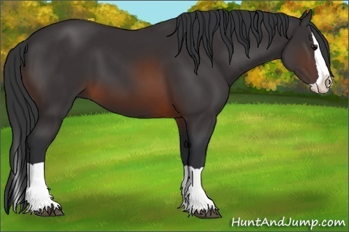 Horse Color:Brown Splash 