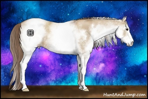 Horse Color:White Spotted Grullo Pearl Sabino 