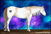 Horse Color:White Spotted Grullo Pearl Sabino