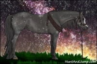 Horse Color:Smoky Black