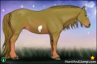 Horse Color:Watercolor Chestnut Frame 