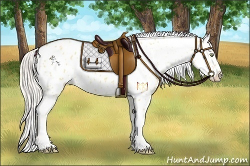 Horse Color:Silver Amber Champagne Dun Appaloosa 