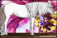 Horse Color:Chestnut Splash Blanket 