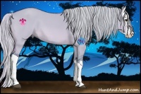 Horse Color:Watercolor Silver Bay Dun Splash