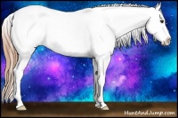 Horse Color:Liver Chestnut Frame Varnish 
