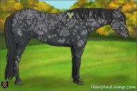 Horse Color:Black Ice 