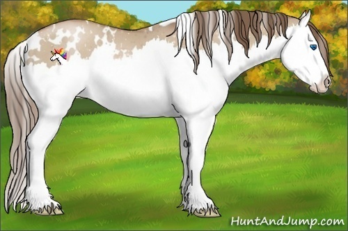 Horse Color:White Spotted Grullo Pearl Splash 