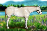 Horse Color:Buckskin Pearl Dun Sabino