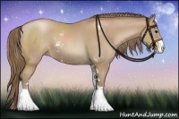 Horse Color:Black Pearl Sabino