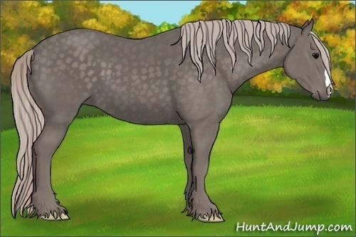 Horse Color:Silver Black 