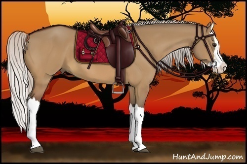 Horse Color:Silver Bay Dun Splash 
