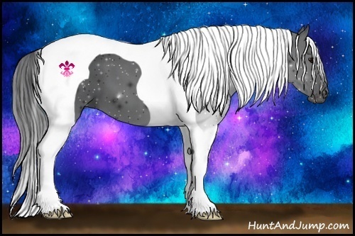 Horse Color:Black Tobiano 