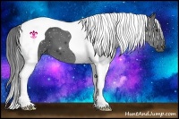 Horse Color:Black Tobiano 