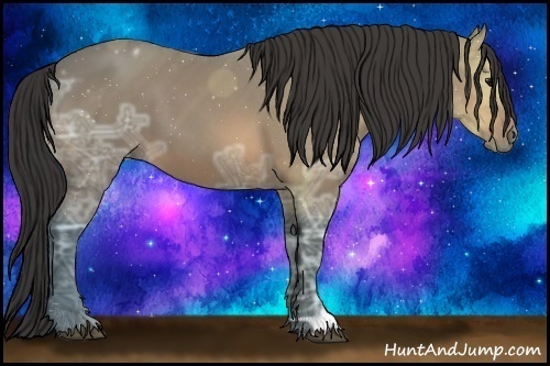 Horse Color:Buckskin Ice 