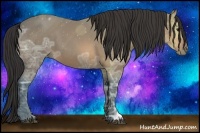 Horse Color:Buckskin Ice 