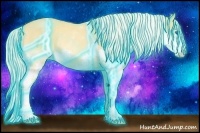 Horse Color:Thunderstruck Palomino Splash Rabicano 