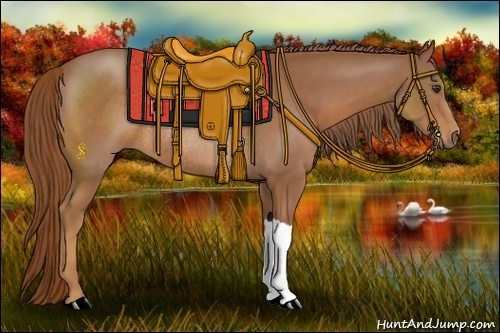 Horse Color:Chestnut Rabicano