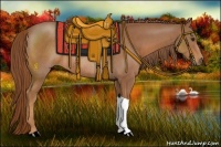 Horse Color:Chestnut Rabicano