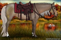 Horse Color:Silver Black Sabino Rabicano 