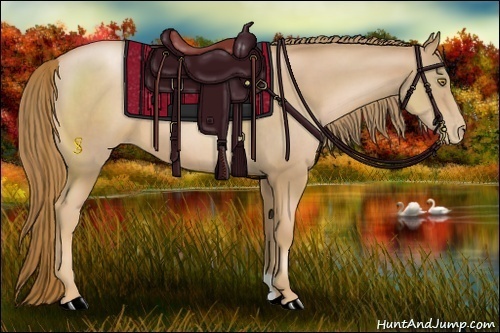 Horse Color:Chestnut Pearl 