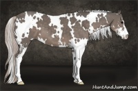 Horse Color:White Spotted Silver Black Sabino 