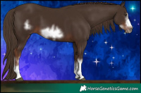 Horse Color:White Spotted Liver Chestnut Frame