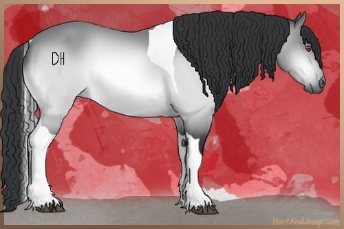 Horse Color:Bay Chinchilla Tobiano