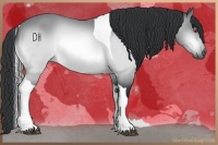 Horse Color:Bay Chinchilla Tobiano