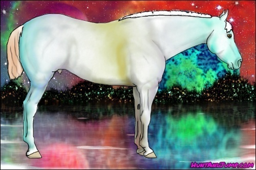 Horse Color:Buckskin Snowflake Varnish