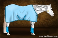 Horse Color:Chestnut Splash Appaloosa