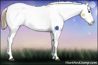 Horse Color:Smoky Blue Roan Sabino Splash Appaloosa 
