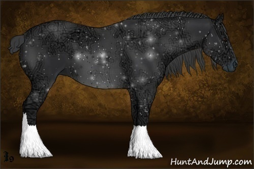 Horse Color:Black Ice 