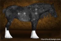 Horse Color:Black Ice 