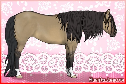 Horse Color:Brown Dun