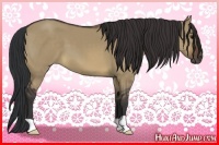 Horse Color:Brown Dun