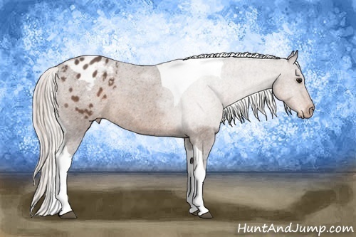 Horse Color:Silver Black Tobiano Varnish