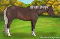Horse Color:Silver Brown 