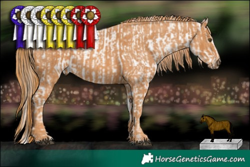 Horse Color:Liver Red Roan Pearl Appaloosa Rabicano  Brindle