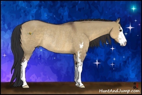 Horse Color:Brown Dun Sabino Rabicano 