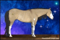 Horse Color:Brown Dun Sabino Rabicano 