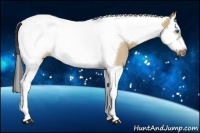 Horse Color:Bay Dun Splash Tobiano Frame