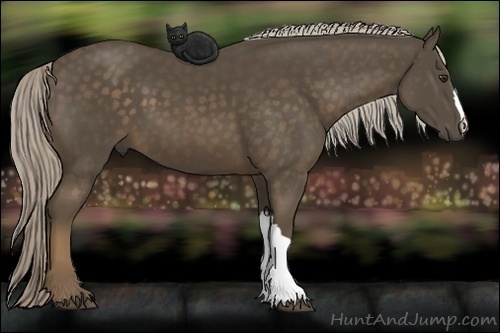 Horse Color:Chocolate Palomino 