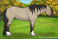Horse Color:Liver Red Dun Roan 