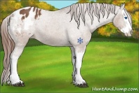 Horse Color:Chestnut Splash Varnish 