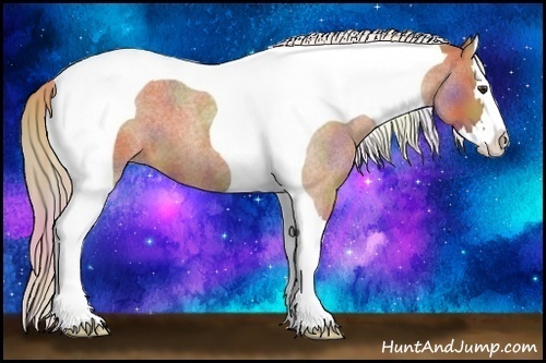 Horse Color:Nacre Red Roan Splash Tobiano 