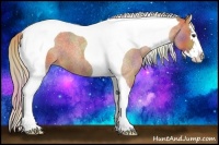 Horse Color:Nacre Red Roan Splash Tobiano 