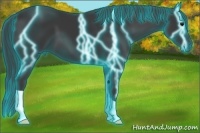 Horse Color:Thunderstruck Black 