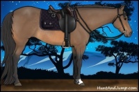 Horse Color:Buckskin Rabicano